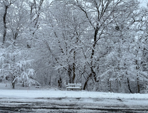 Mittens for the Movement