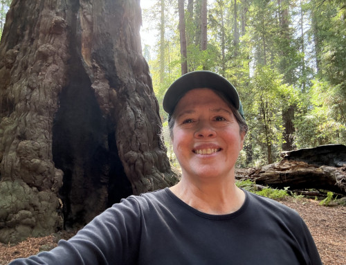 Three Things Coaches Need to Understand to Maximize their Impact in These Times