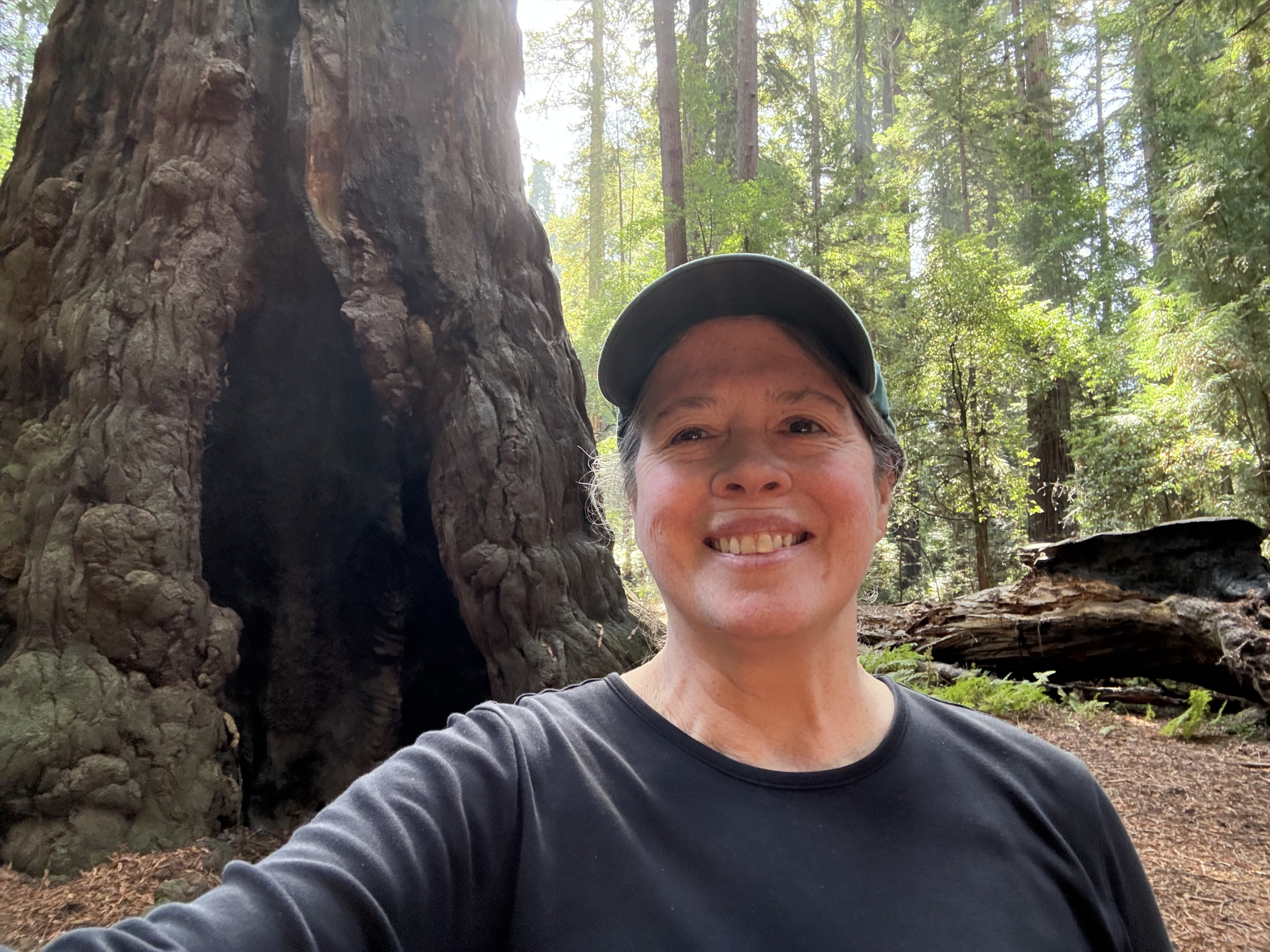 Photo of Eileen in front of California redwoods